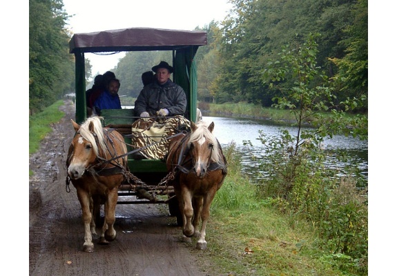 Carriage ride through the Lewitz in Banzkow